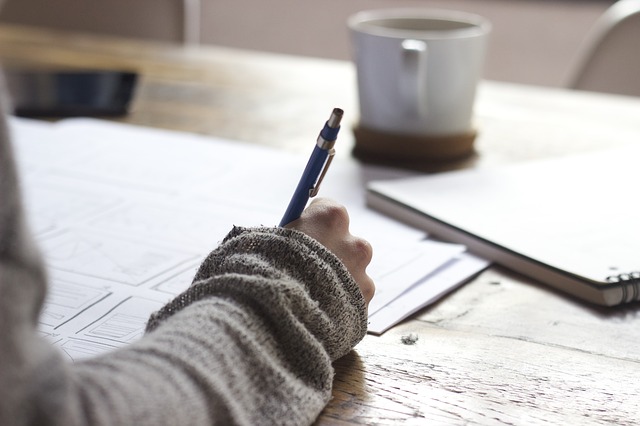 [COM] Writing academic essays 