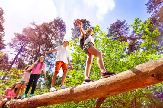 [COM] Working in the summer camp in the USA