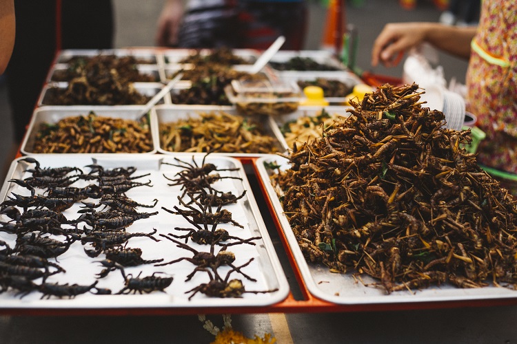 [COM] Insects as a food source