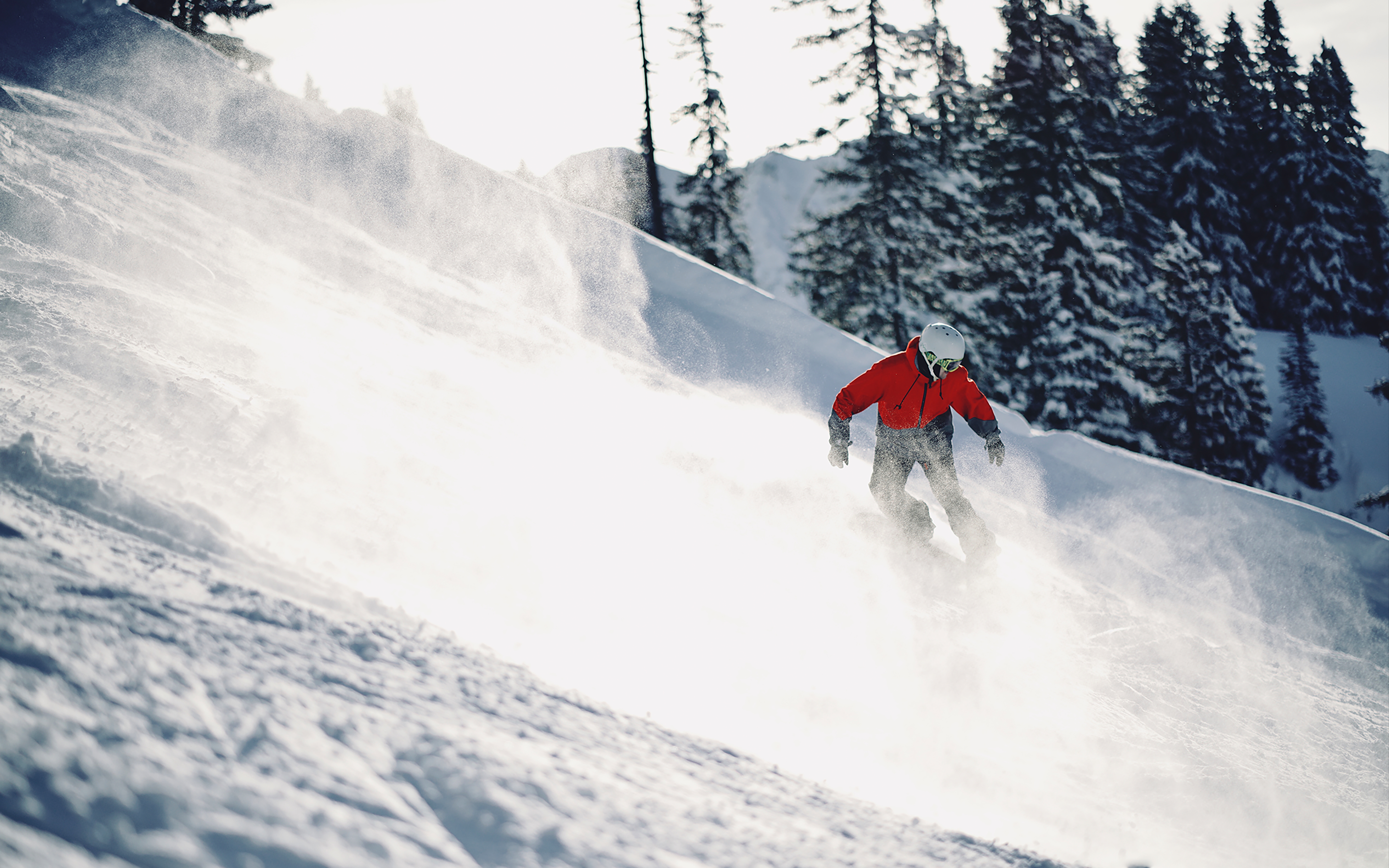 [COM] The Annual Ski And Snowboard Exhibition